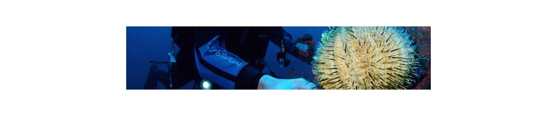 COMBINAISONS FEMME | Pêche