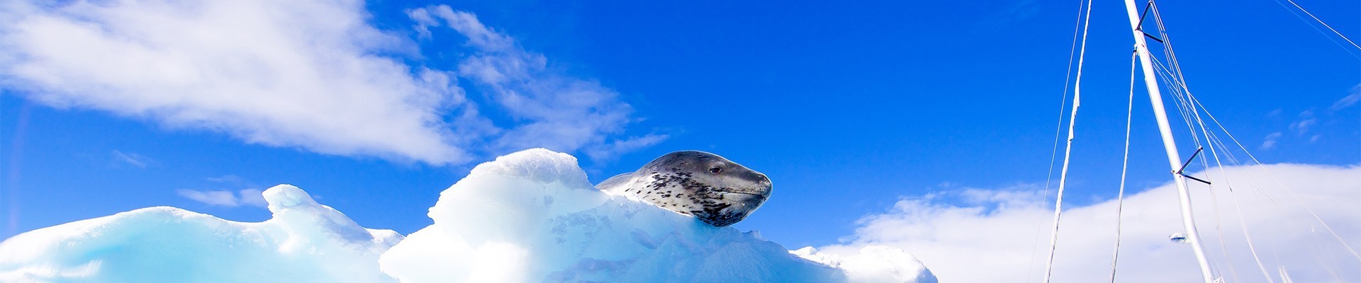 Matériel de plongée, équipement de plongée et accessoires - Topstar