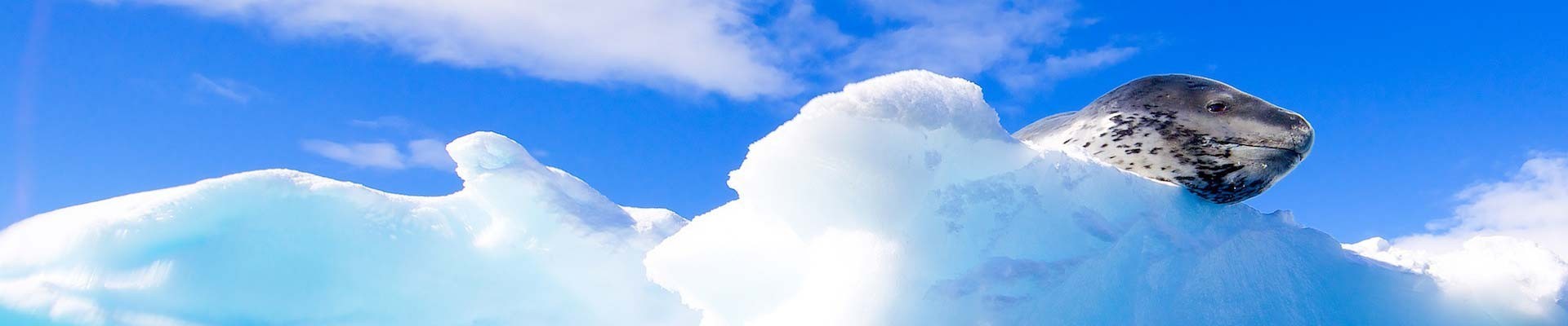 Sous-combinaison de plongée, surf, nage et apnée homme - Topstar