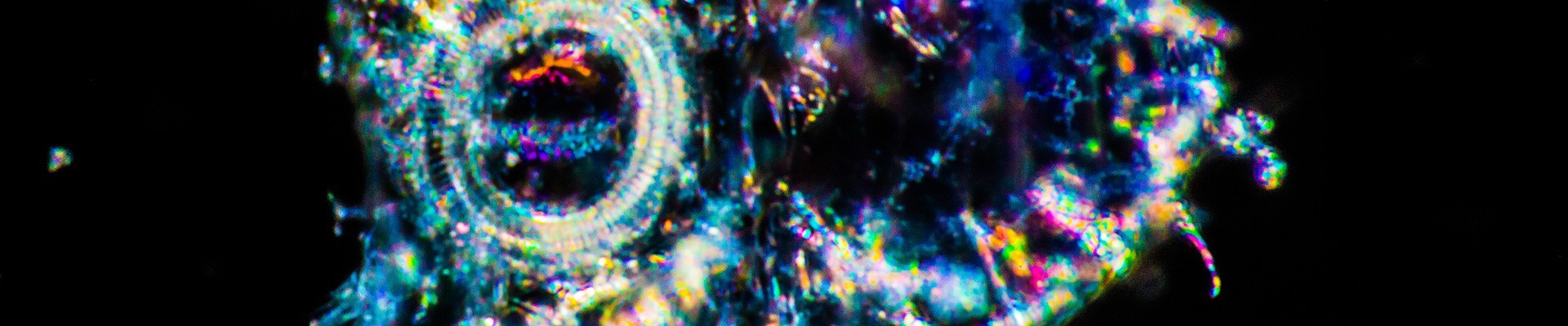 Produits entretien combinaison de plongée néoprène - Topstar