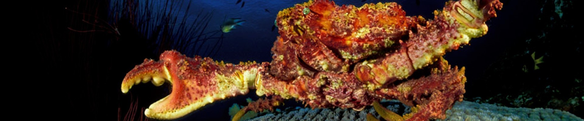 Pièces détachées et Matériels de réparation